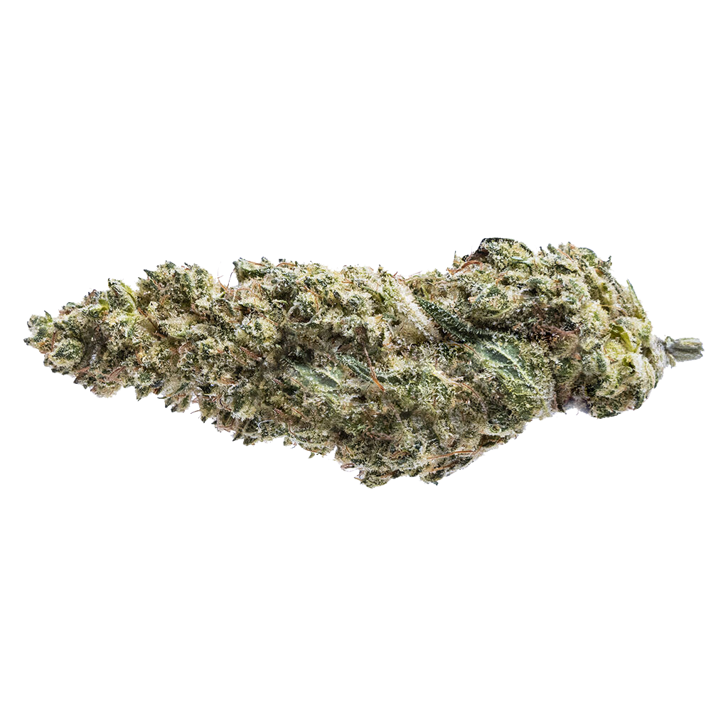 Blue Dream #16